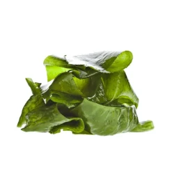 Alga wakame - 50 g