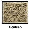 Centeno entero - 500 g