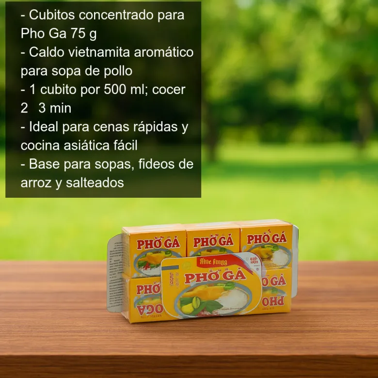 Concentrado en cubitos para Pho Ga - 75g