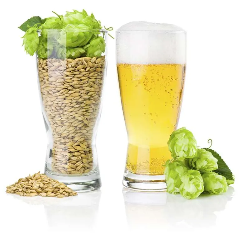 Equipo Estándar para Cerveza - 1 fermentador