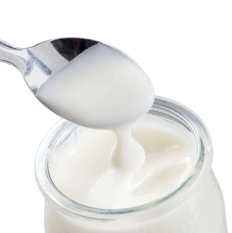 Fermento Ácidophilus con Bífidus para yogur - 1 g