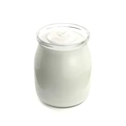 Fermentos para hacer yogur occidental - 1g