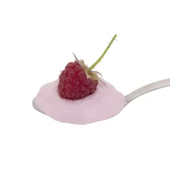 Kit para elaborar Skyr