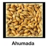 Malta Ahumada - 500g Entera
