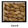 Malta Cara B - 1 Kg - Entera