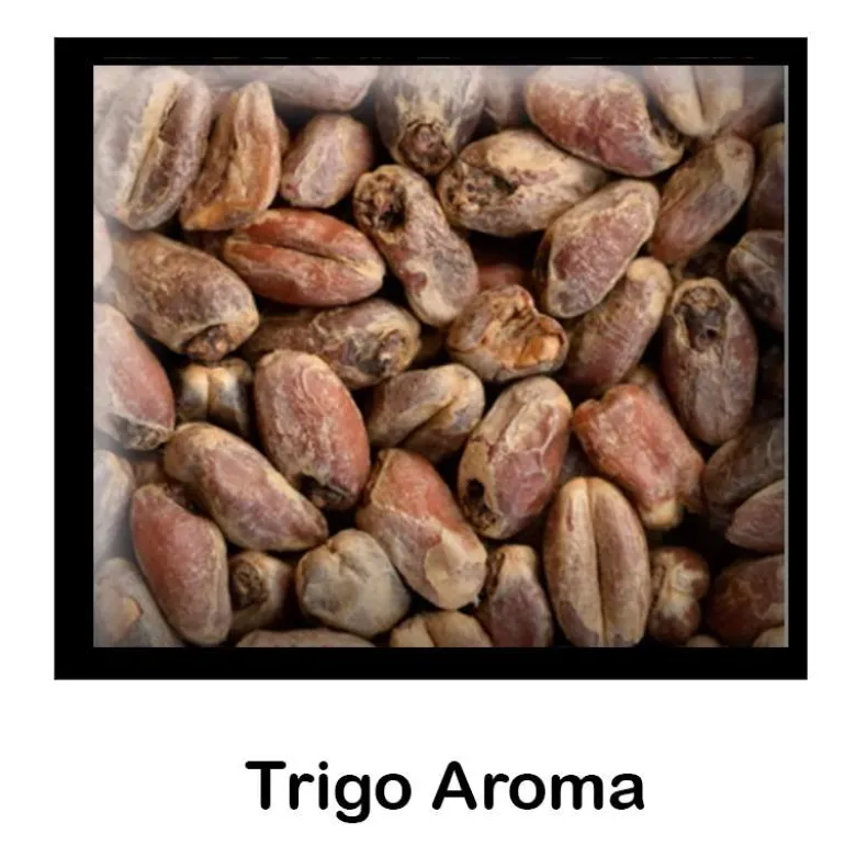 Malta de Trigo Aroma - 1 Kg - Entera