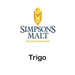 Malta de Trigo - 500g Molturada