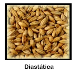 Malta Diastática - 500g Entera