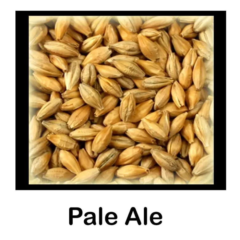 Malta Pale Ale - 5 Kg Molturada