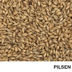 Malta Pilsen - 1 Kg ENTERA