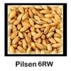 Malta Pilsen 6RW - 1 Kg Entera